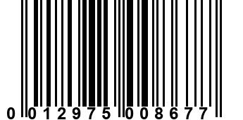 0012975008677