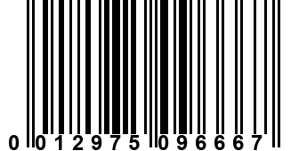 0012975096667