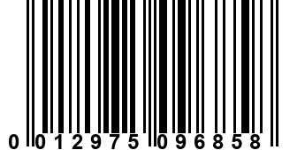 0012975096858