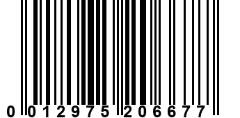 0012975206677