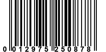 0012975250878