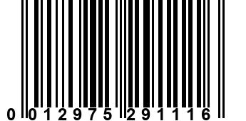 0012975291116