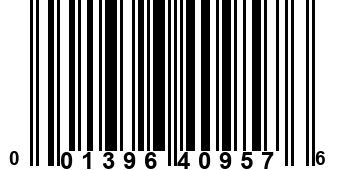 001396409576