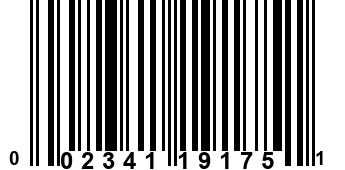 002341191751