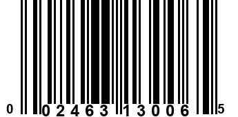 002463130065