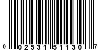 002531511307