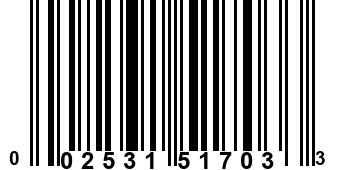 002531517033