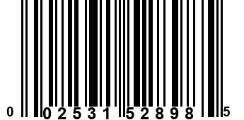 002531528985