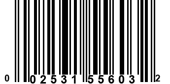002531556032