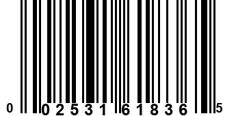 002531618365