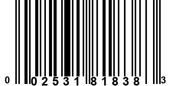 002531818383