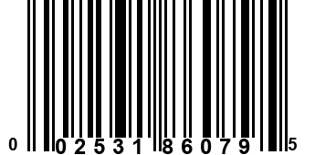 002531860795