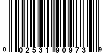 002531909739