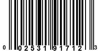 002531917123