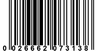 0026662073138