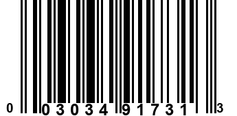 003034917313