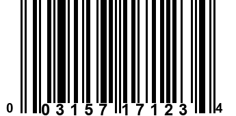 003157171234