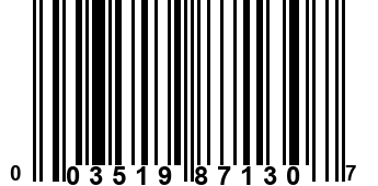 003519871307