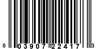 003907224173