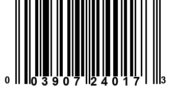 003907240173