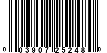 003907252480