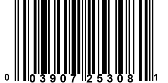 003907253081