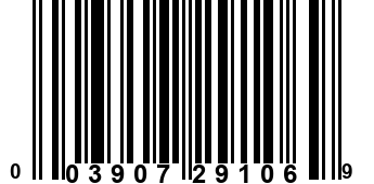 003907291069