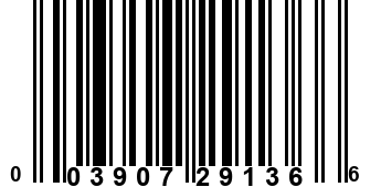 003907291366