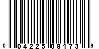 004225081738