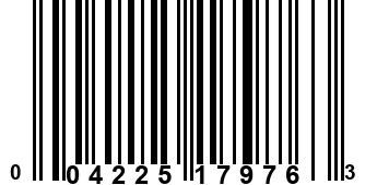 004225179763