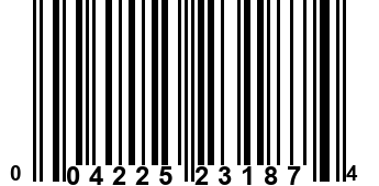 004225231874