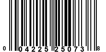 004225250738