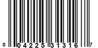 004225313167