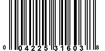 004225316038