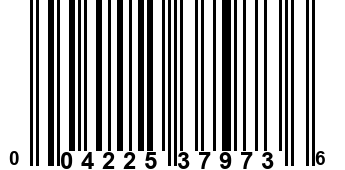 004225379736