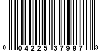 004225379873