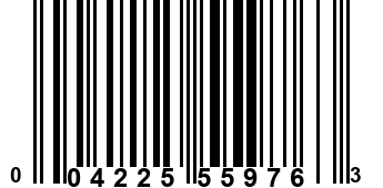 004225559763