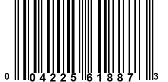 004225618873