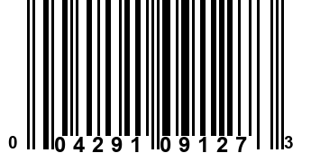 004291091273