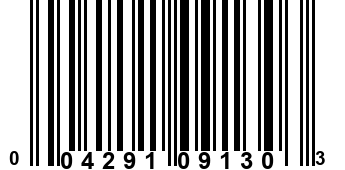 004291091303