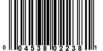 004538022381