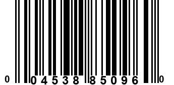 004538850960