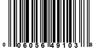 006056491038