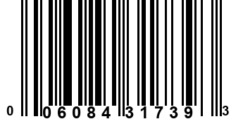 006084317393