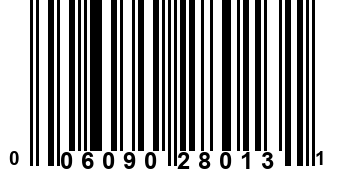 006090280131