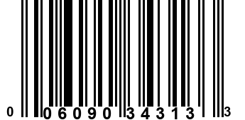 006090343133