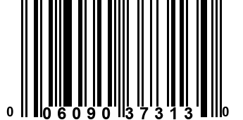 006090373130