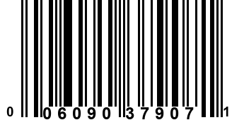 006090379071