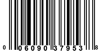 006090379538