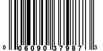 006090379873